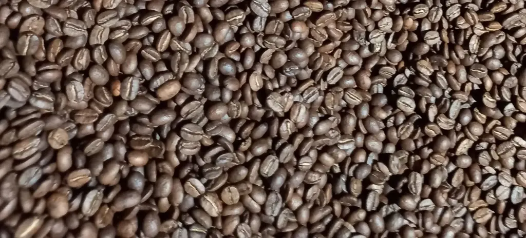 Café Señorial Excelso en grano y molido