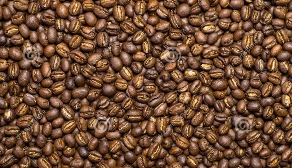 Café Caracolito